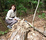 Keva