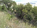 GCCSBC_20130628165517.jpg