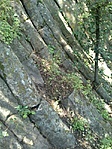 GCGULA_20130629133538.jpg