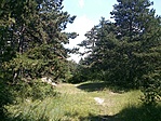GCorju_20130629135407.jpg