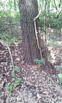 GCPaMi_2013069145056.jpg