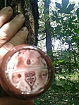 GCALBA_2013066105726.jpg