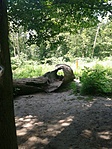 GCALBA_2013066110409.jpg