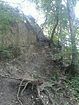 GCALBA_2013066110745.jpg