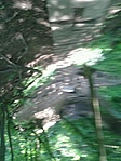 GCALBA_2013066104716.jpg