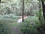 GCZLBT_20130626191456.jpg