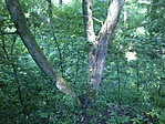 GCkszk_2013068091338.jpg