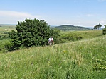 kicsi vagyok