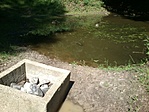 GCRedl_20130612102621.jpg