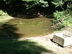 GCRedl_20130612102637.jpg