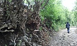 GCCSBC_20130625122934.jpg