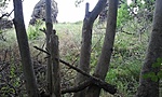 GCCSBC_20130625133402.jpg