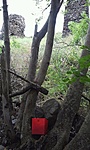GCCSBC_20130625133433.jpg