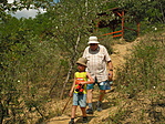 Homokos talajon lefelé