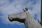 Lóportré