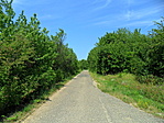 1.