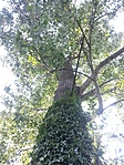 GCOKEC_20130726162744.jpg