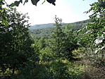 kilátás