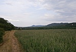 A pilisi hegyek
