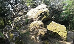 GCBABK_2013075082655.jpg