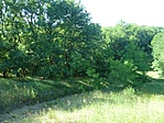 kép2