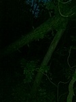 GCGYDB_20130719211054.jpg