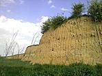 A gyurgyalagos löszfal