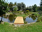 5. pont