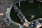 Első pont közelében