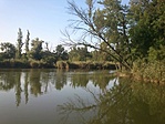 GCTlgt_2013078175906.jpg
