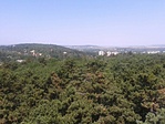 GCSOR_2013079113638.jpg