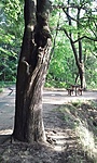 GCTOZE_20130722185607.jpg
