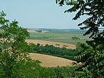 Panoráma a kilátóból