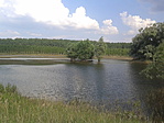 Tó