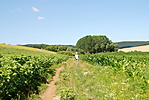 Egyre közelebb