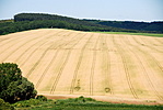 Kilátás a dombról