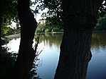 Horgásztó közelről.