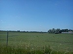 Jobb képet szegény bivalyokról sajnos nem sikerült készítenem.