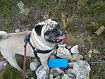 GCEJE_20130719124536.jpg
