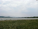 Balaton