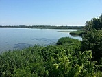 GCOHAL_20130816113431.jpg