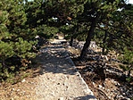 Kikövezett úton