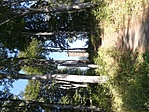 GC2500_20130819101723.jpg