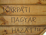 Tipikus falfelirat
