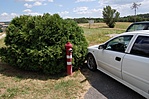 drive-in találat - majdnem a motorháztetőre esett ki a láda a tujából