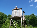 Magaslesen