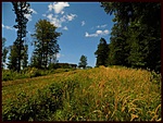 a környék