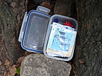 Cache