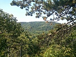 GCALBA_20130819114059.jpg