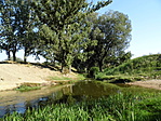 Gázló